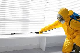 Best Termite Inspection and Treatment  in Roselawn, IN